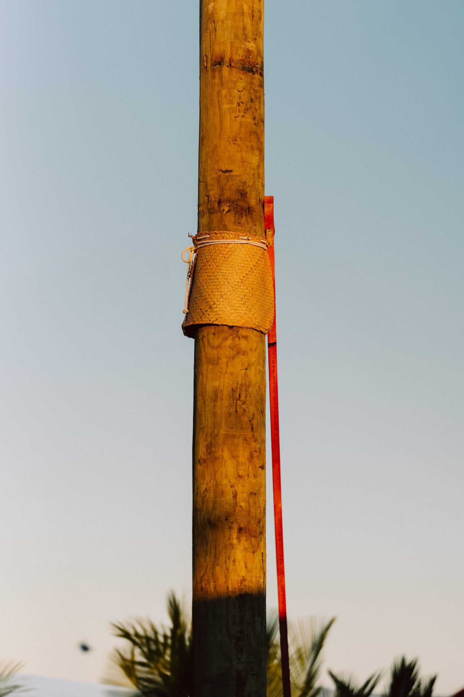 New Build Inspired by Nature: Designed for the Heart Maketu Tauranga House Design Idea #15