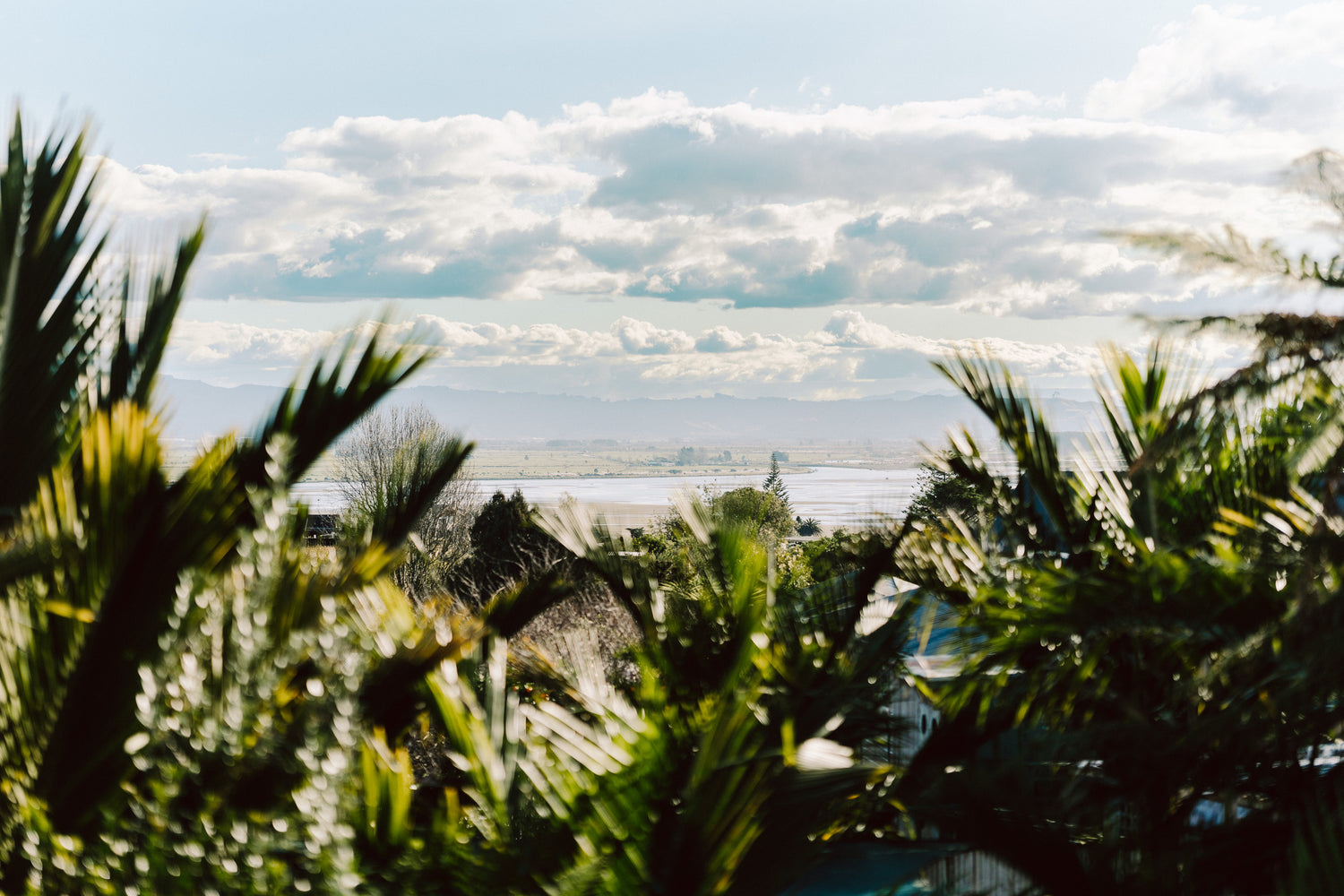 New Build Inspired by Nature: Designed for the Heart Maketu Tauranga House Design Idea #14